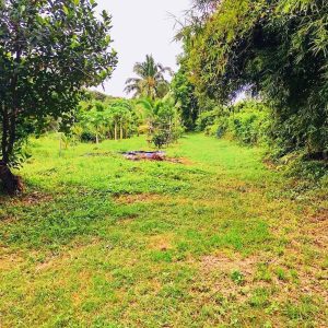 出售地皮-泰国-北碧-11200-平方米-19.92-01