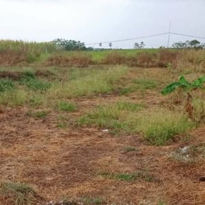 出售地皮-泰国-北碧-1600-平方米-6.23-01