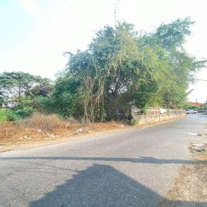 出售地皮-泰国-北碧-1628-平方米-115.86-01