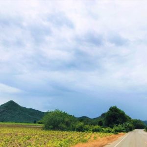 出售地皮-泰国-北碧-16304-平方米-9.49-01