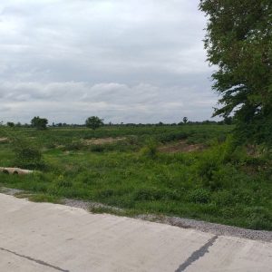 出售地皮-泰国-北碧-173156-平方米-2-01