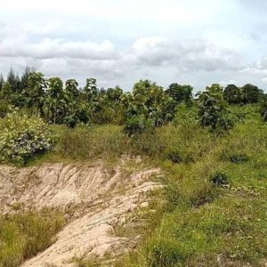 出售地皮-泰国-北碧-17344-平方米-5.15-01