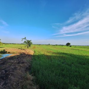 出售地皮-泰国-北碧-22400-平方米-32.15-01