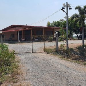 出售地皮-泰国-北碧-22708-平方米-2.43-01