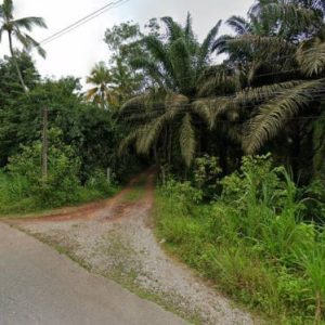 出售地皮-泰国-万仑-10476-平方米-26.2-01