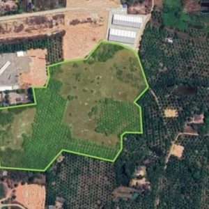 出售地皮-泰国-万仑-110640-平方米-64.29-01