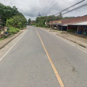 出售地皮-泰国-万仑-13132-平方米-77.03-01