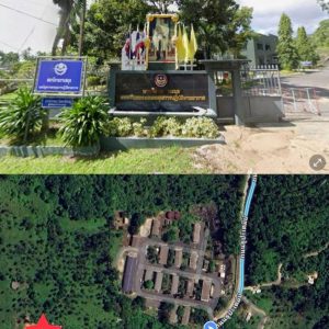 出售地皮-泰国-万仑-18324-平方米-61.78-01