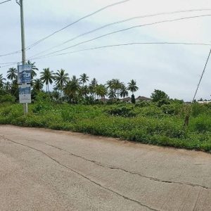 出售地皮-泰国-万仑-1948-平方米-79.23-01