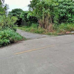 出售地皮-泰国-万仑-2088-平方米-13-01