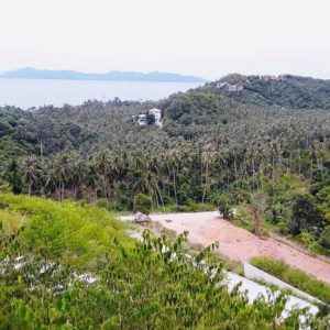 出售地皮-泰国-万仑-3888-平方米-117.29-01