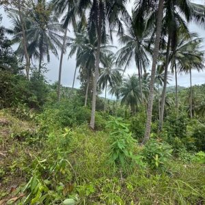 出售地皮-泰国-万仑-70400-平方米-21.43-01