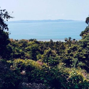 出售地皮-泰国-万仑-8972-平方米-152.86-01