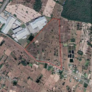 出售地皮-泰国-乌汶-121524-平方米-10.52-01