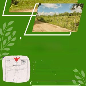 出售地皮-泰国-乌汶-16000-平方米-7.72-01