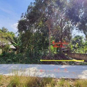 出售地皮-泰国-乌汶-412-平方米-62.43-01