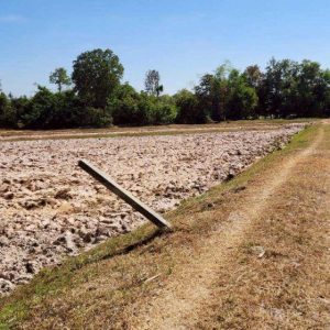 出售地皮-泰国-乌汶-6948-平方米-8.15-01