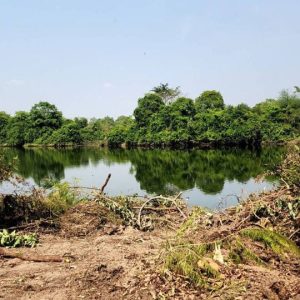 出售地皮-泰国-乌汶-7200-平方米-8-01