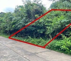 出售地皮-泰国-乌汶-812-平方米-54.92-01