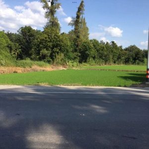 出售地皮-泰国-乌泰他尼-21060-平方米-30.95-01