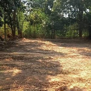 出售地皮-泰国-乌隆-10568-平方米-9.75-01