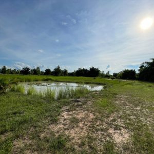 出售地皮-泰国-乌隆-3668-平方米-12.18-01