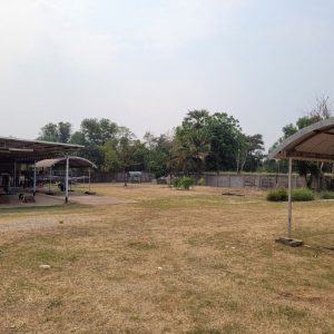 出售地皮-泰国-乌隆-7156-平方米-206.03-01