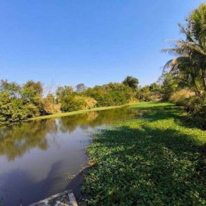 出售地皮-泰国-乌隆-8344-平方米-9.89-01