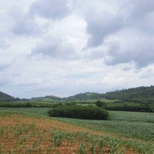 出售地皮-泰国-佛丕-102608-平方米-44.92-01