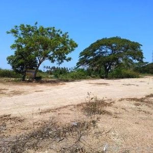 出售地皮-泰国-佛丕-1279.2-平方米-67.03-01