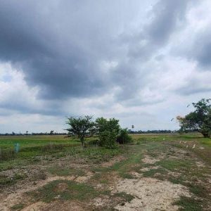 出售地皮-泰国-佛丕-151560-平方米-11.09-01