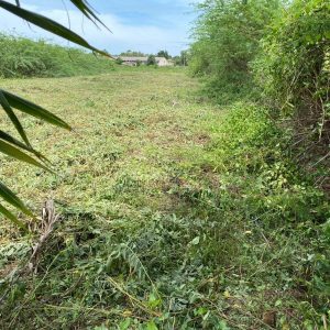 出售地皮-泰国-佛丕-1600-平方米-182.15-01