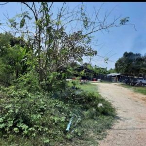 出售地皮-泰国-佛丕-1764-平方米-19.43-01