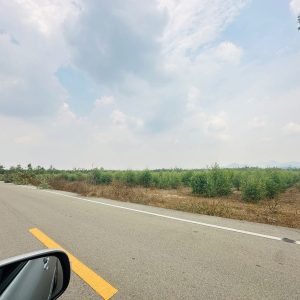 出售地皮-泰国-佛丕-204632-平方米-9.75-01