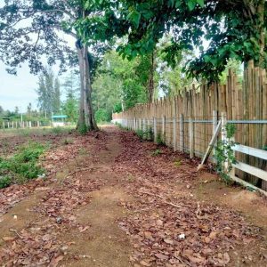 出售地皮-泰国-佛丕-2672-平方米-48.78-01