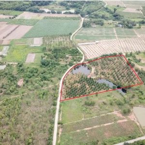 出售地皮-泰国-佛丕-32000-平方米-37.52-01