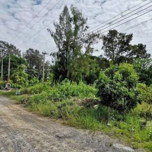 出售地皮-泰国-佛丕-448-平方米-75.43-01