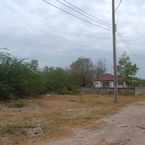 出售地皮-泰国-佛丕-524-平方米-39.29-01