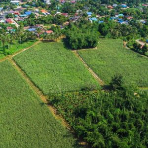 出售地皮-泰国-佛丕-54032-平方米-17.15-01