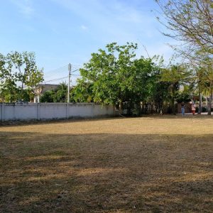 出售地皮-泰国-佛丕-824-平方米-228.86-01