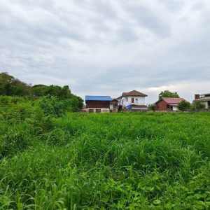 出售地皮-泰国-信武里-1760-平方米-38.78-01