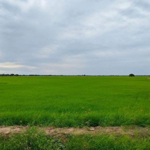 出售地皮-泰国-信武里-46400-平方米-4.83-01