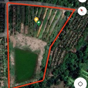 出售地皮-泰国-北柳-11200-平方米-22.98-01