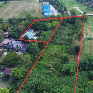 出售地皮-泰国-北柳-11768-平方米-49.55-01