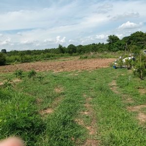 出售地皮-泰国-北柳-12800-平方米-13.4-01