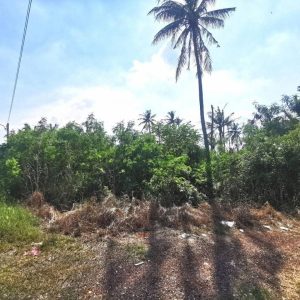 出售地皮-泰国-北柳-14920-平方米-38.63-01