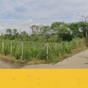 出售地皮-泰国-北柳-1600-平方米-128.58-01