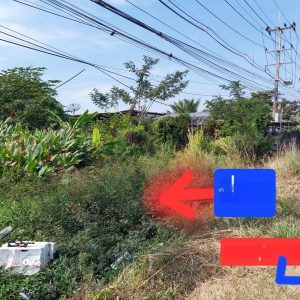 出售地皮-泰国-北柳-1600-平方米-160.72-01