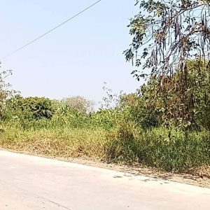 出售地皮-泰国-北柳-1600-平方米-85.72-01