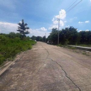 出售地皮-泰国-北柳-1648-平方米-114.43-01